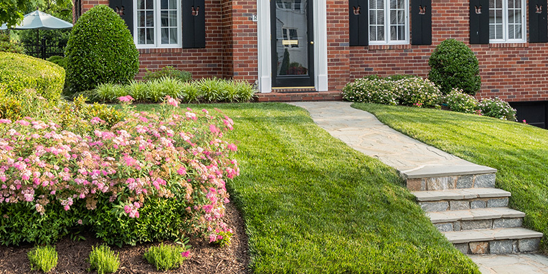 Image of Garden Care