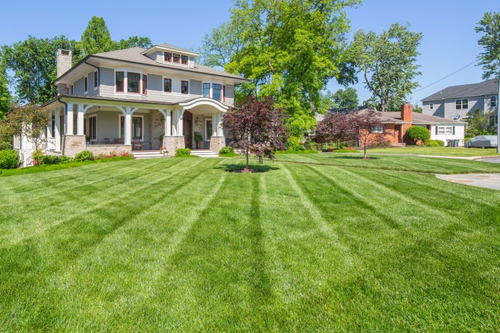 Image of Essential Turf Care