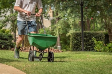 Fertilizing lawn.