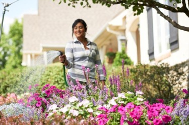 Watering summer annual flowers.