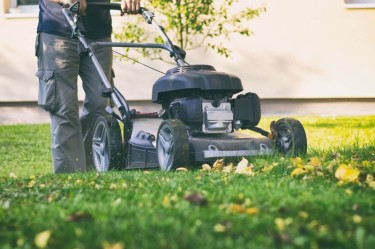 Fall lawn care & mowing.