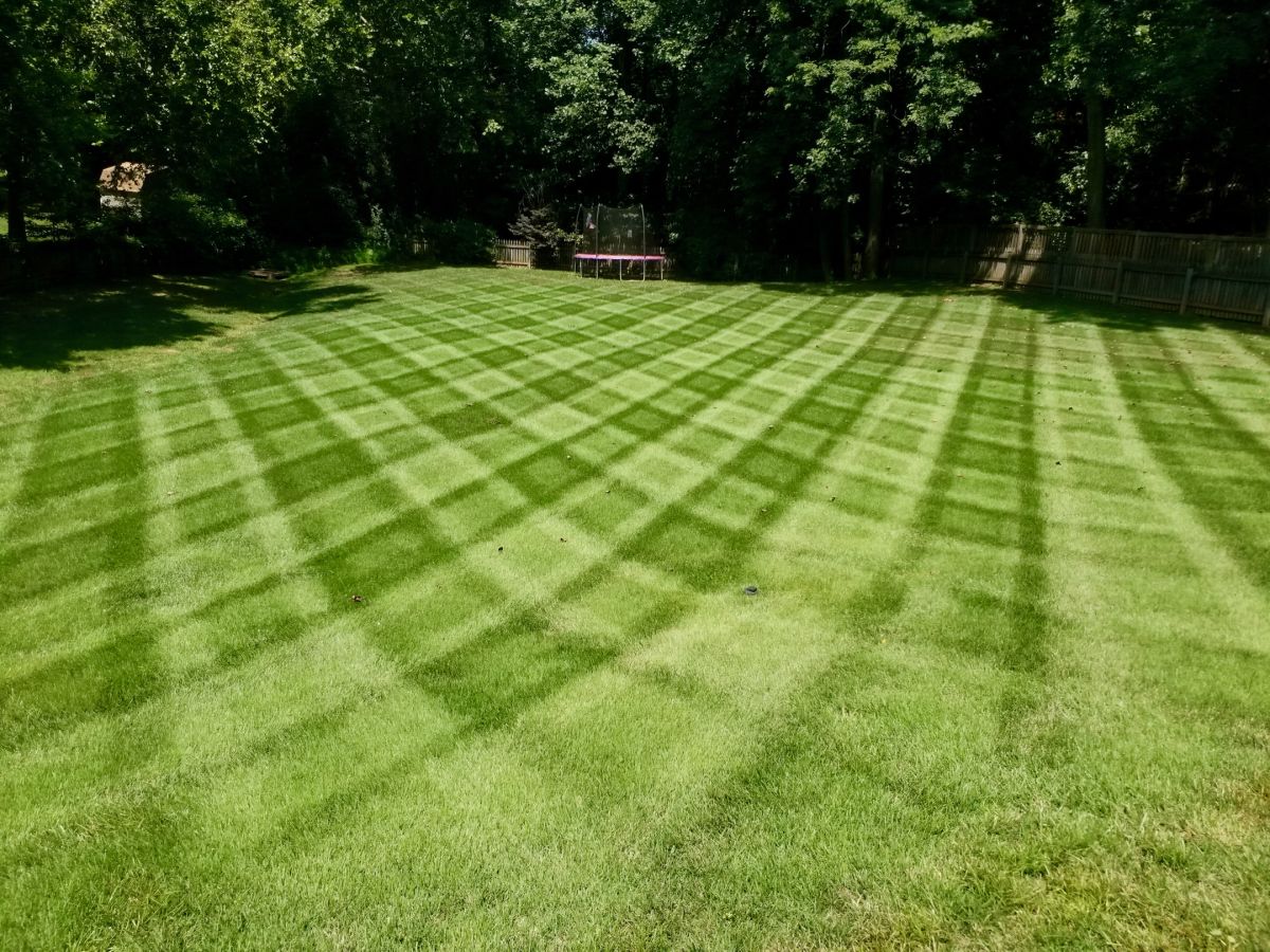How to Mow Your Lawn Perfectly Brandon Rushing